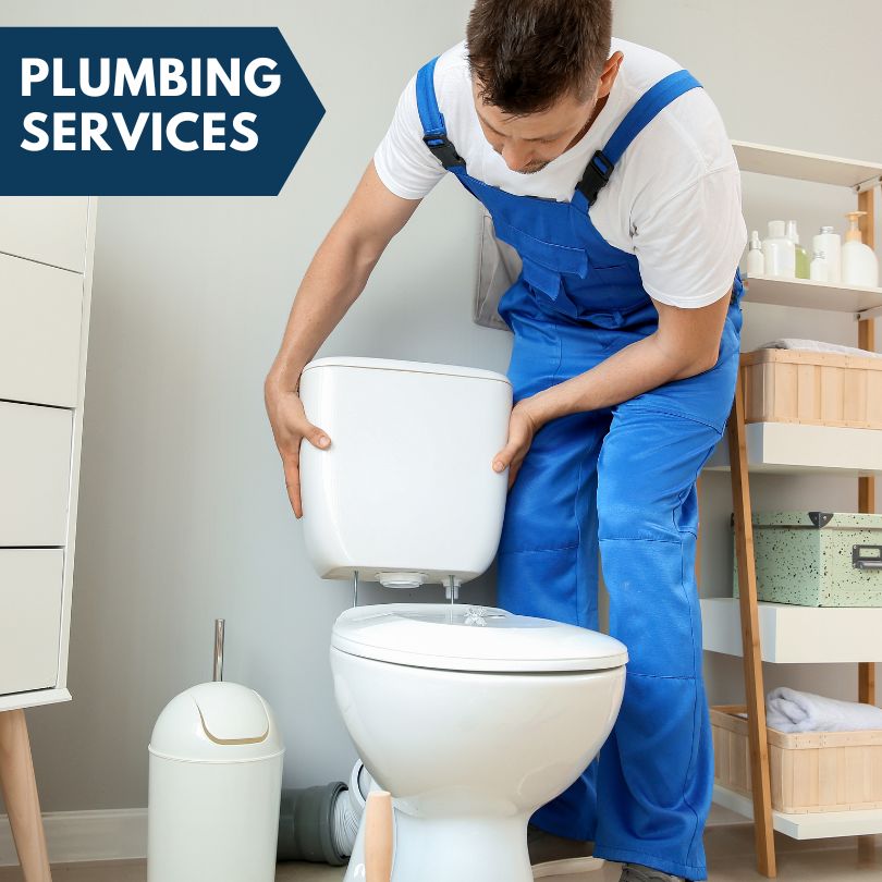 Plumbing Company in Des Plaines, IL